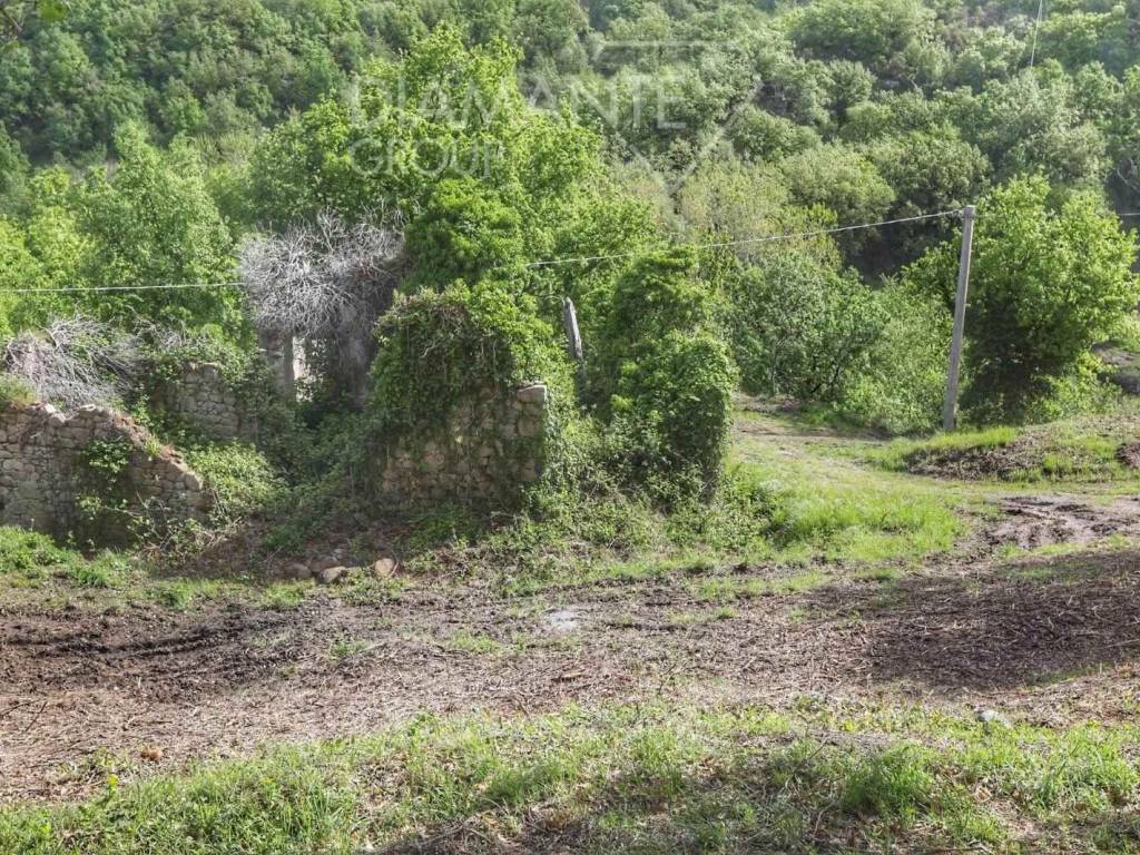 Rustico / casale a Castel del piano - Foto 5