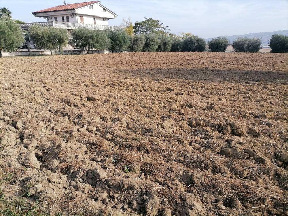 Terreno a Colonnella in Contrada Rio Moro, 125 - Foto 3