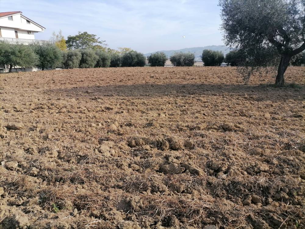Terreno a Colonnella in Contrada Rio Moro, 125 - Foto 4