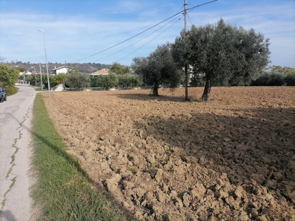 Terreno a Colonnella in Contrada Rio Moro, 125 - Foto 5