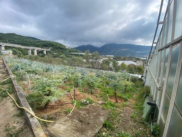 Terreno a Taggia in regione corneo, 85 - Foto 5