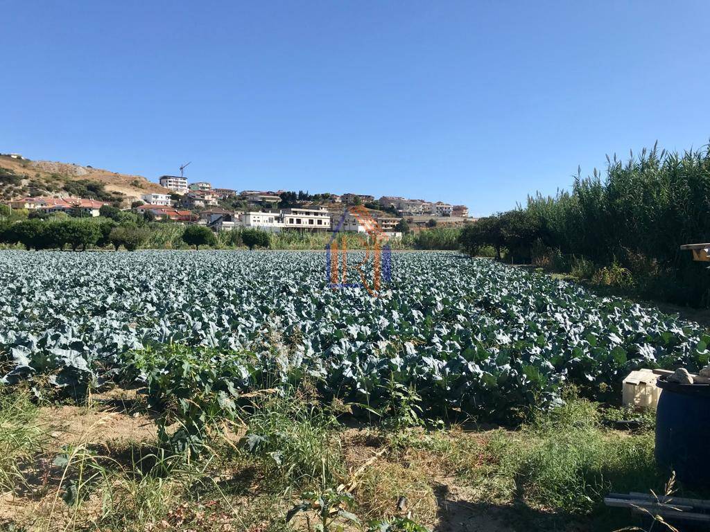 Terreno a Satriano in Via dei Normanni, 11 - Foto 2