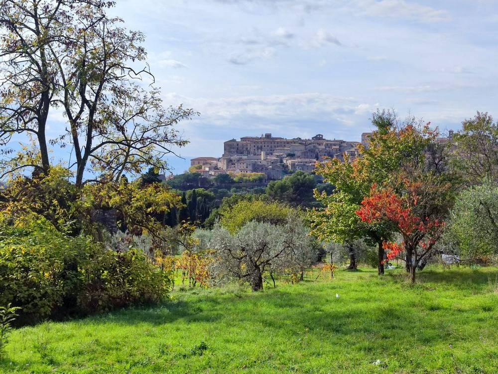 Terreno a Lugnano in teverina in Via del Cardino - Foto 2