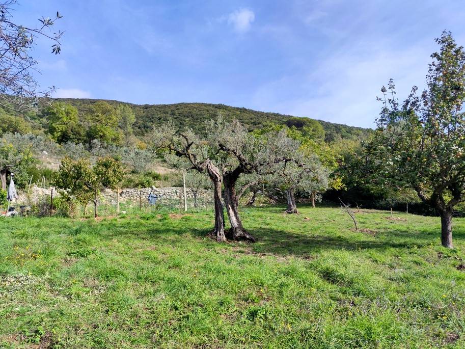 Terreno a Lugnano in teverina in Via del Cardino - Foto 3