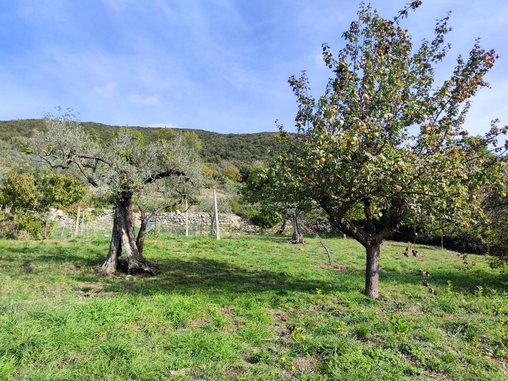 Terreno a Lugnano in teverina in Via del Cardino - Foto 4