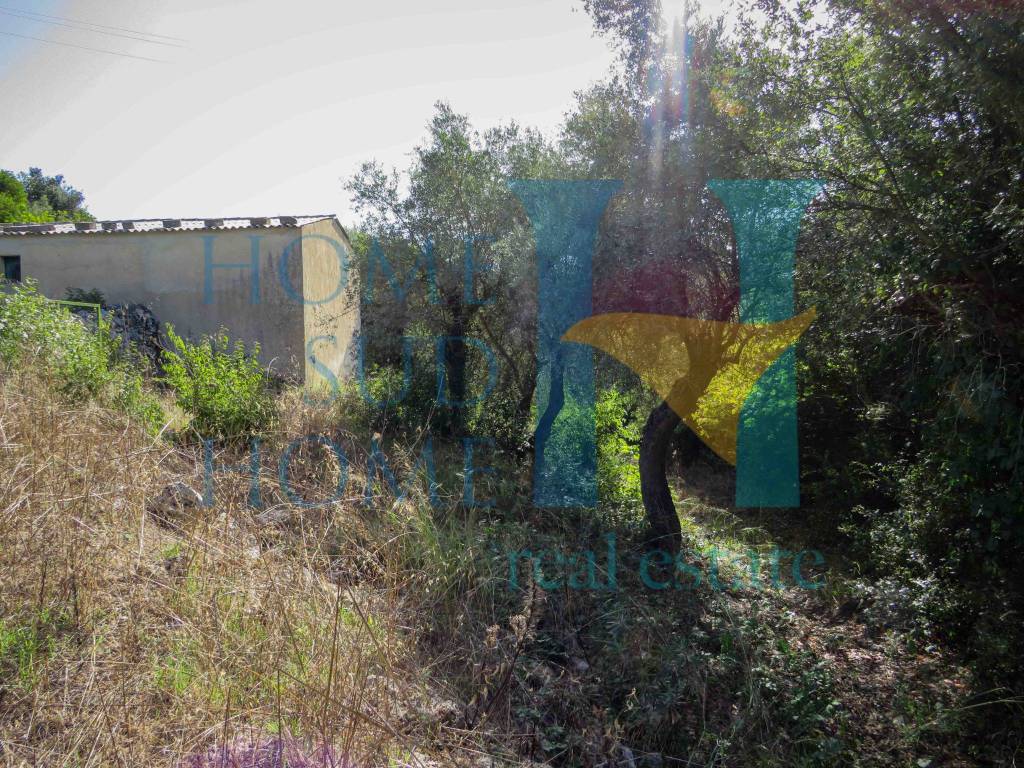 Rustico / casale a Noto in Via Tommaso Fazello, 228 - Foto 5