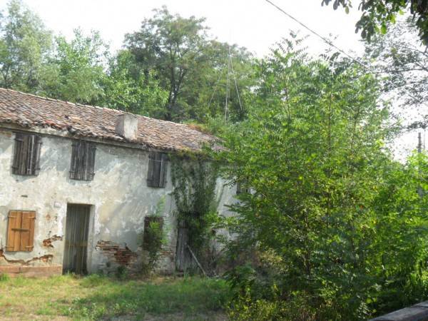 Rustico / casale a Montagnana in Via Luppia Alberi - Foto 2