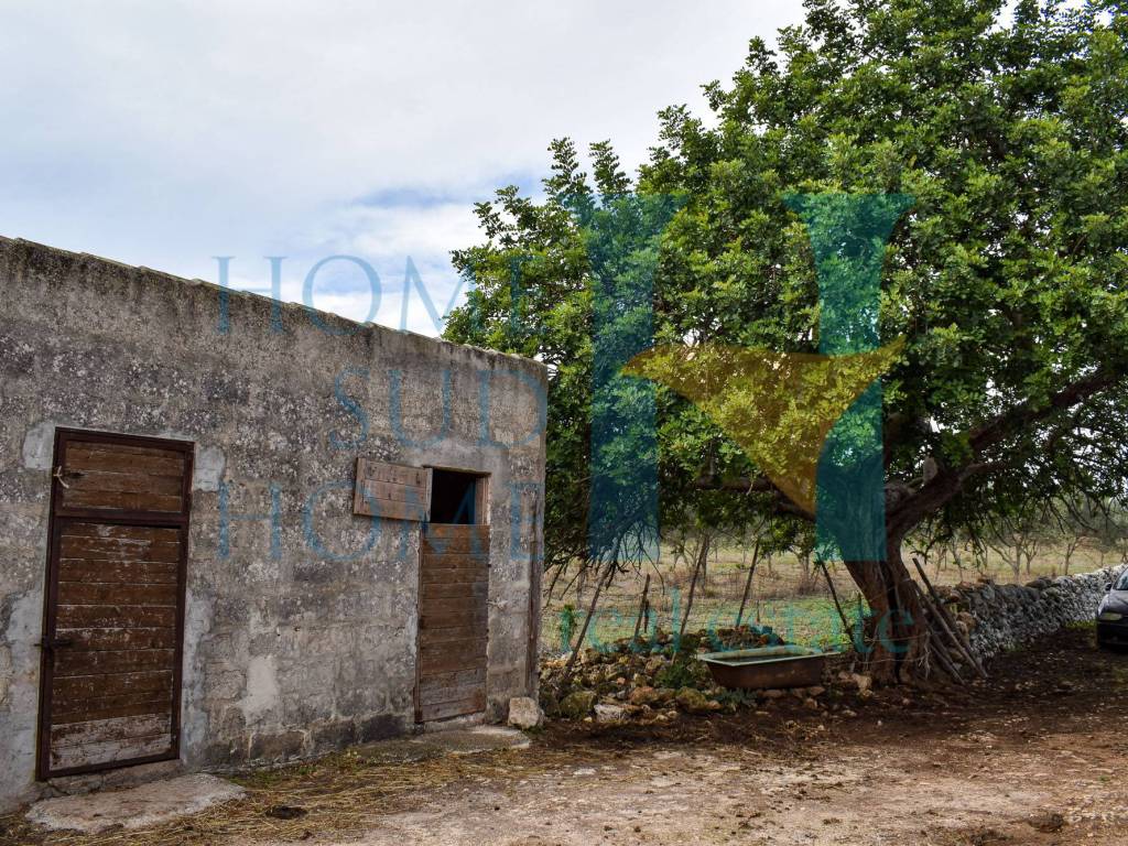Rustico / casale a Noto in Via Tommaso Fazello, 228 - Foto 4
