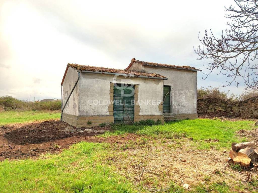 Terreno a Ischia di castro in Località Vepre - Foto 5