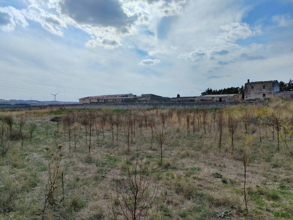 Terreno a Andria in Via Castel del Monte - Foto 5