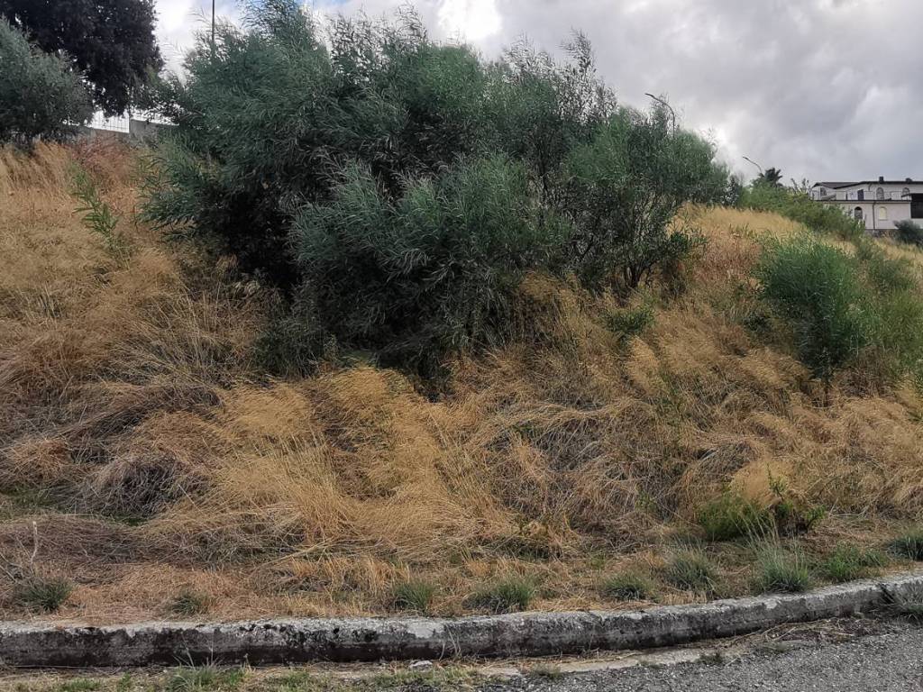 Terreno a Montepaone in Via Pietro Verri - Foto 2