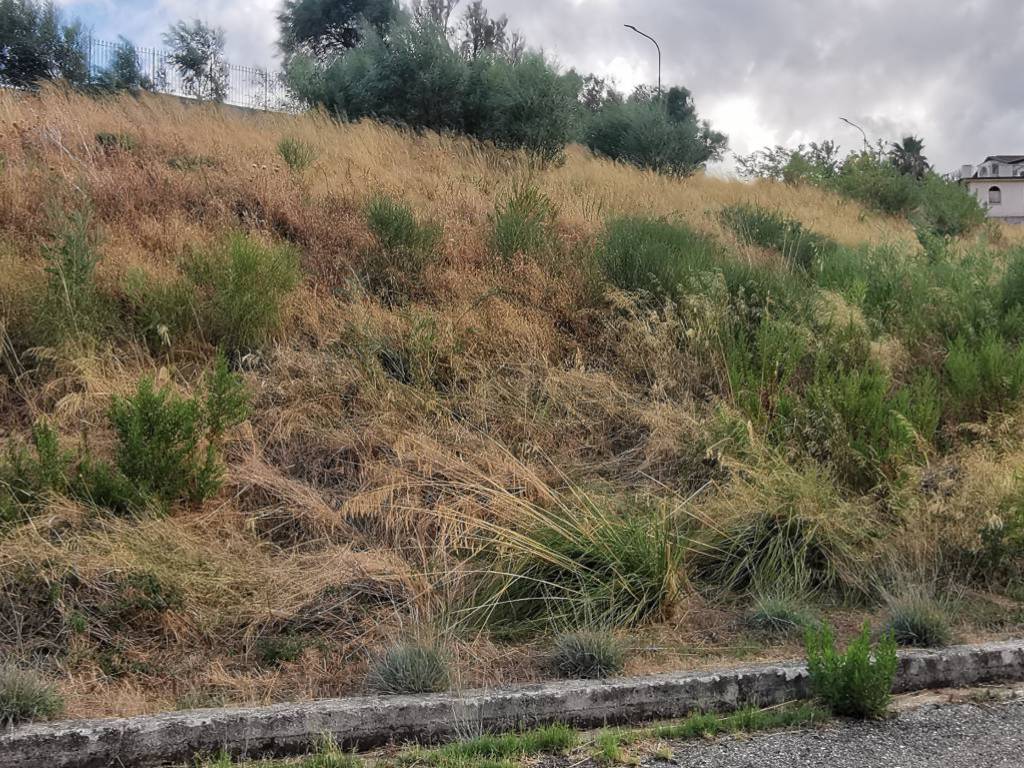 Terreno a Montepaone in Via Pietro Verri - Foto 3