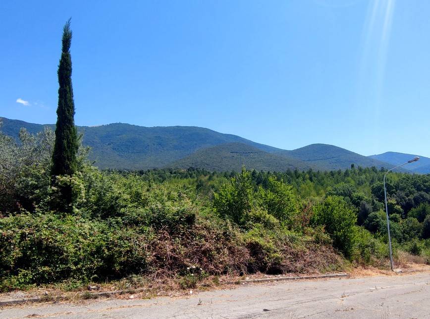 Terreno a Montecchio in Via della Bandita - Foto 3