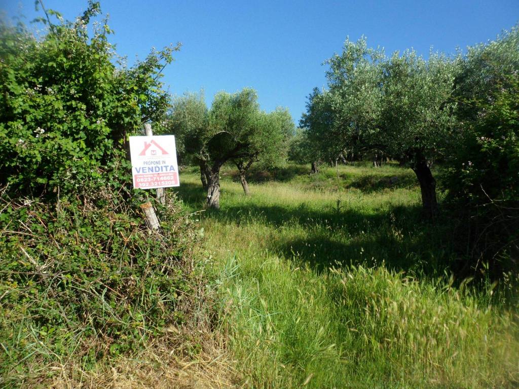 Terreno a Bucciano in Contrada Grande - Foto 3