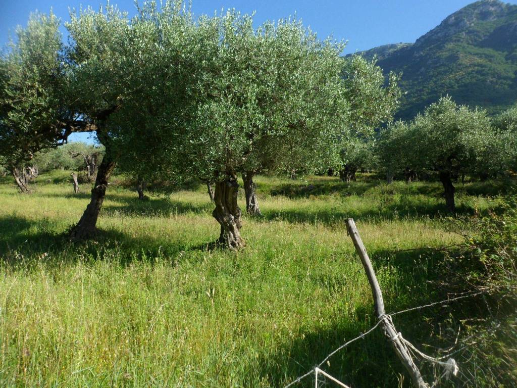 Terreno a Bucciano in Contrada Grande - Foto 5