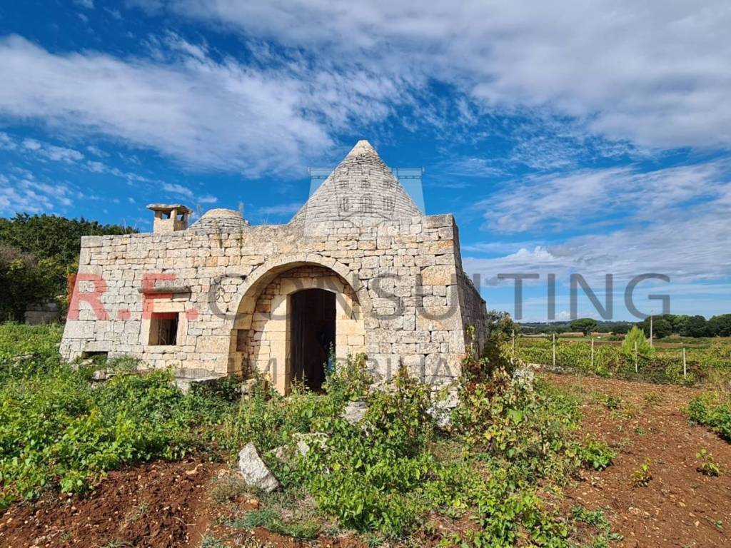 Rustico / casale a Martina franca in Via Villa Castelli - Foto 3