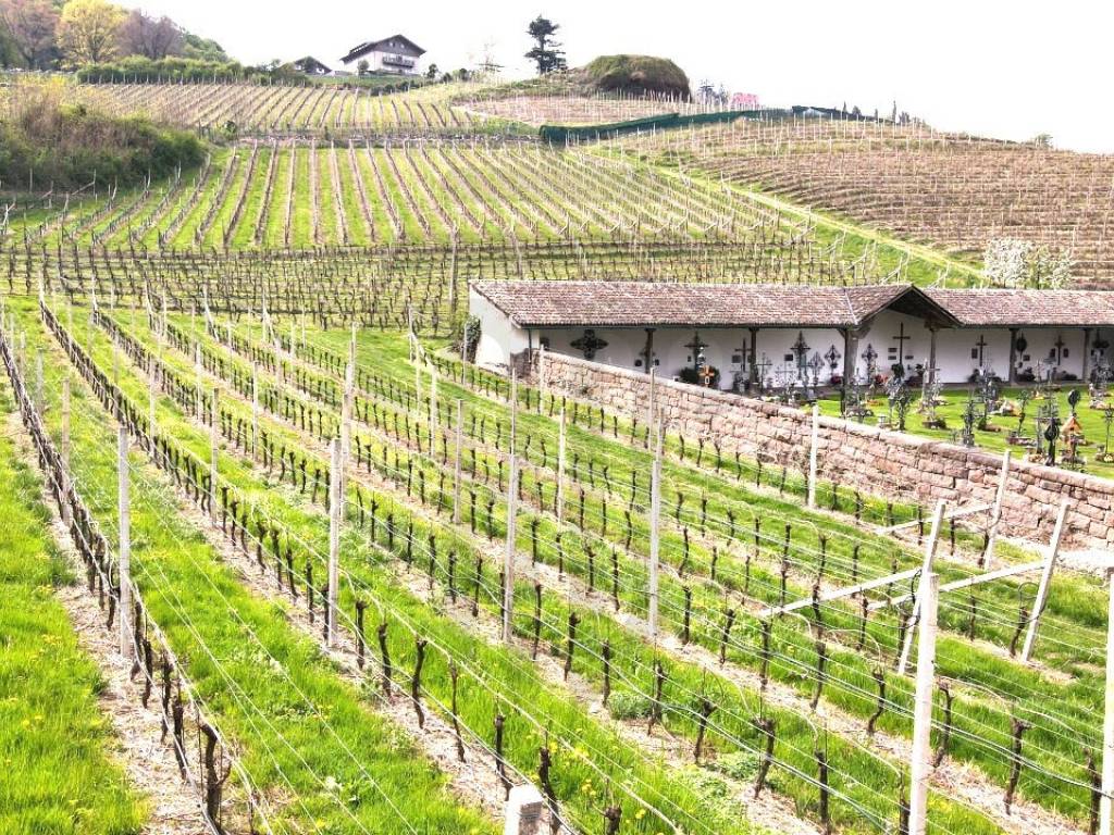 Terreno a Bolzano in Via Castel Firmiano - Foto 5