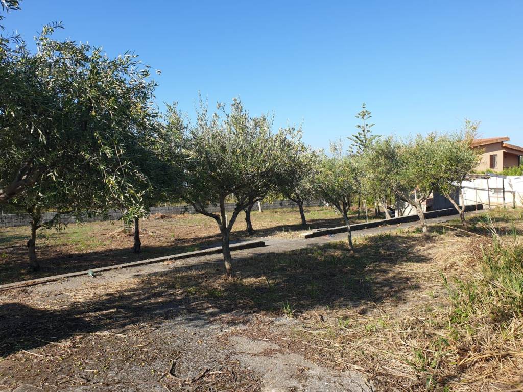 Terreno a Scalea in Via Santa Caterina - Foto 5
