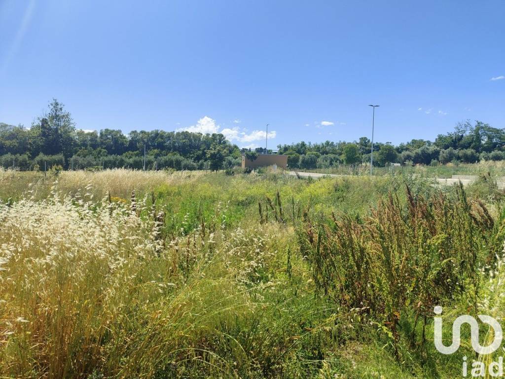 Terreno a Cupra marittima in Contrada Boccabianca - Foto 3
