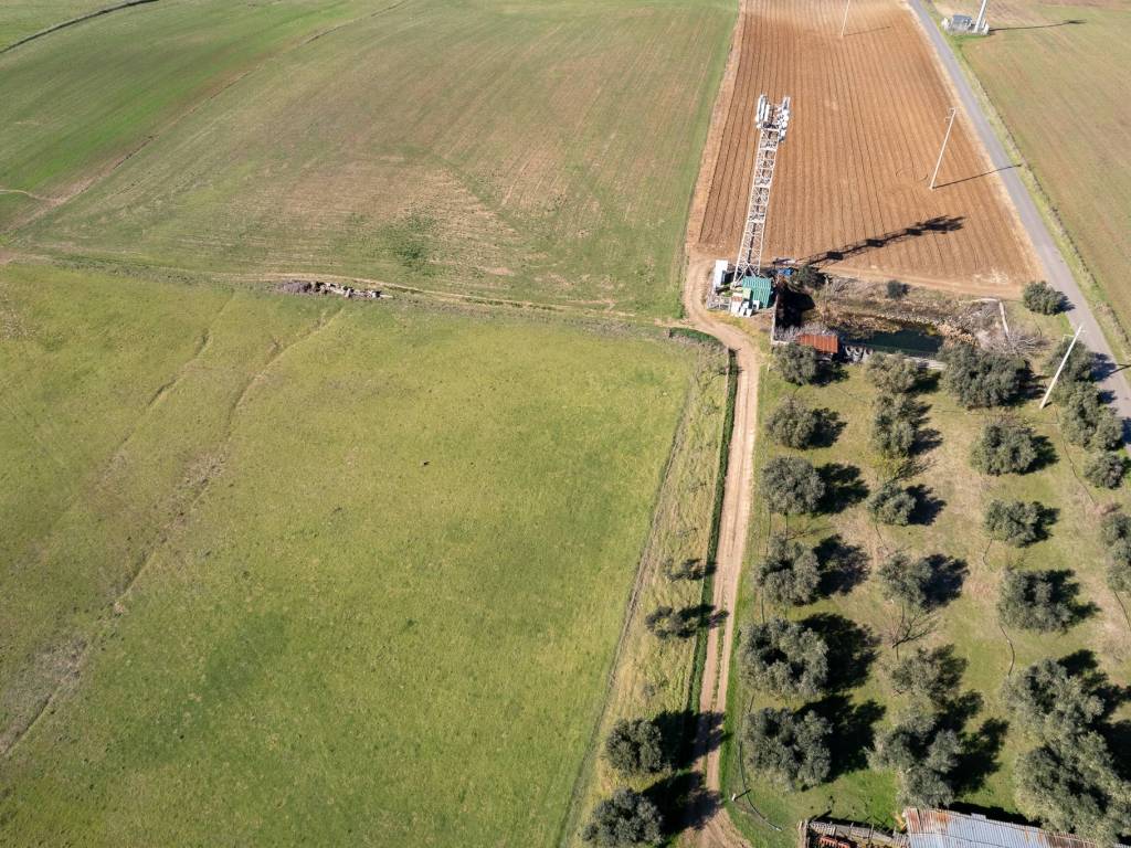 Terreno a Montalto di castro in Strada Provinciale Pescia Romana - Foto 2