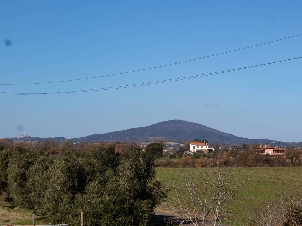 Terreno a Montalto di castro in Strada Provinciale Pescia Romana - Foto 4