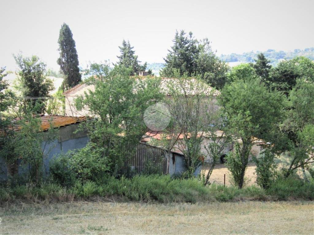 Rustico / casale a Cartoceto in VIA MOROLA - Foto 2