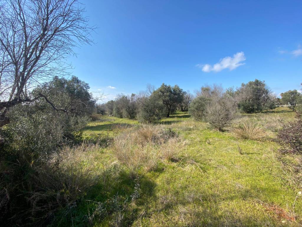 Terreno a Salve in torre pali - Foto 3