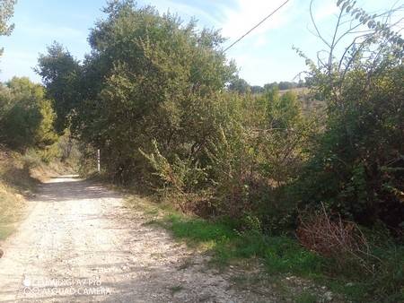 Rustico / casale a Paglieta in Strada Pozzo Vecchio - Foto 4