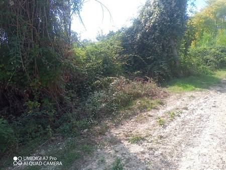 Rustico / casale a Paglieta in Strada Pozzo Vecchio - Foto 5