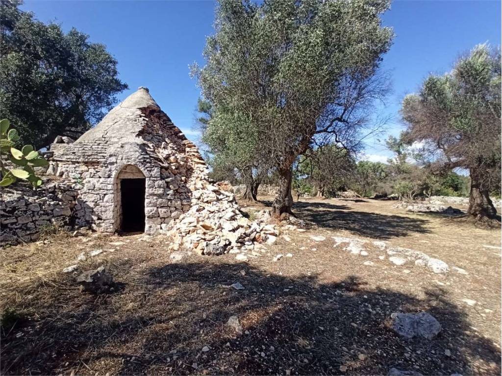 Terreno a Ceglie messapica - Foto 2