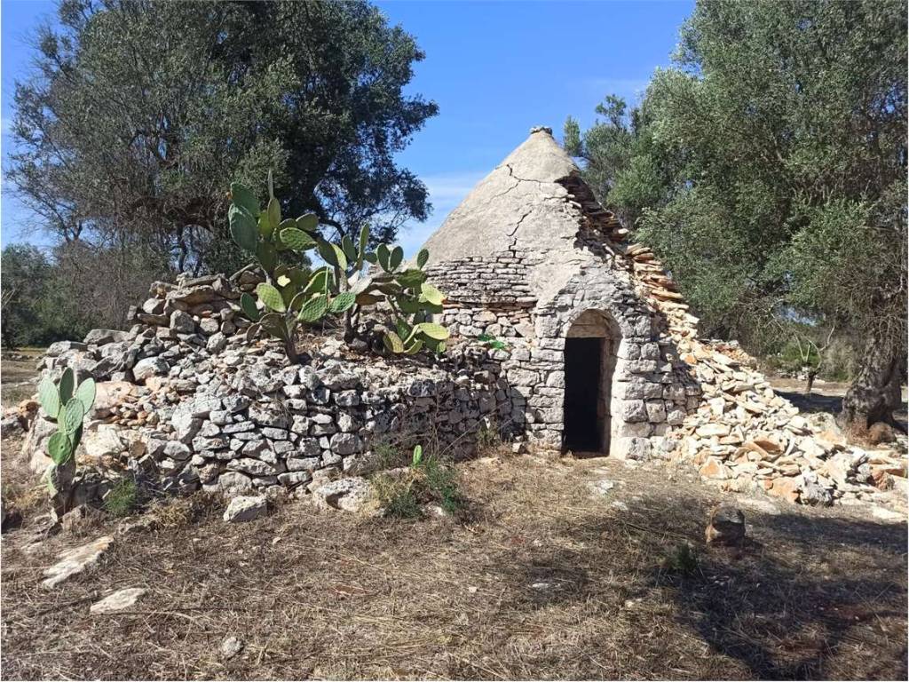 Terreno a Ceglie messapica - Foto 3