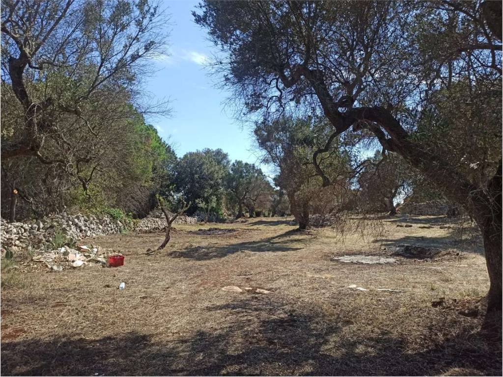 Terreno a Ceglie messapica - Foto 4