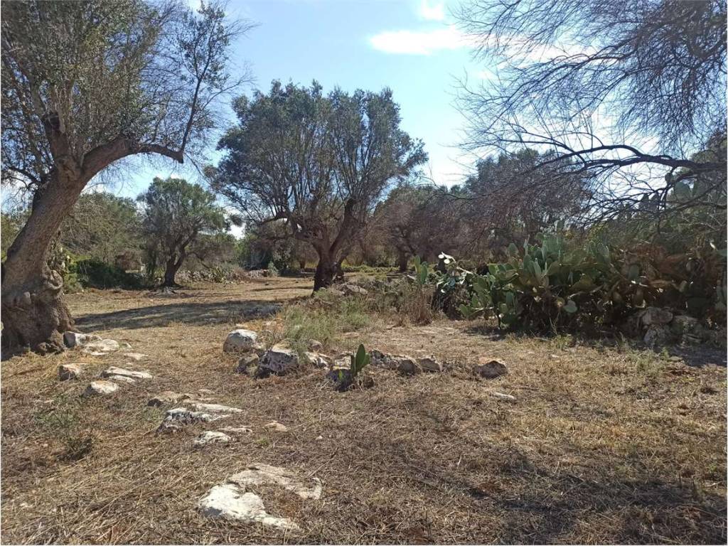Terreno a Ceglie messapica - Foto 5