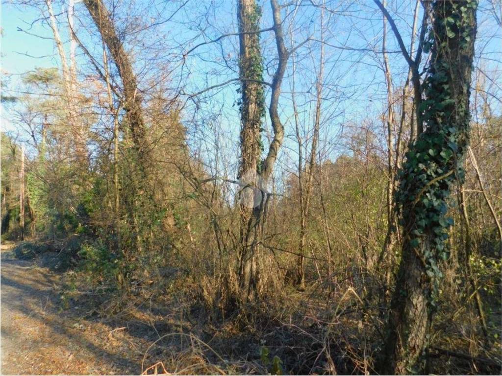 Terreno a Golasecca in Via Cristoforo Colombo - Foto 2
