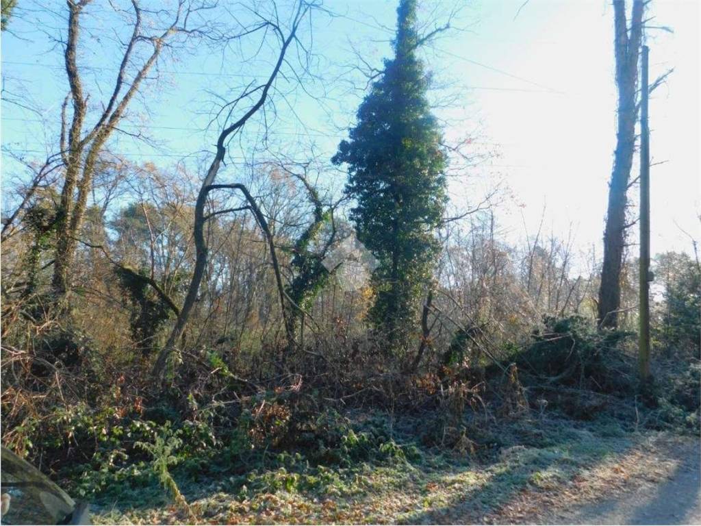 Terreno a Golasecca in Via Cristoforo Colombo - Foto 4