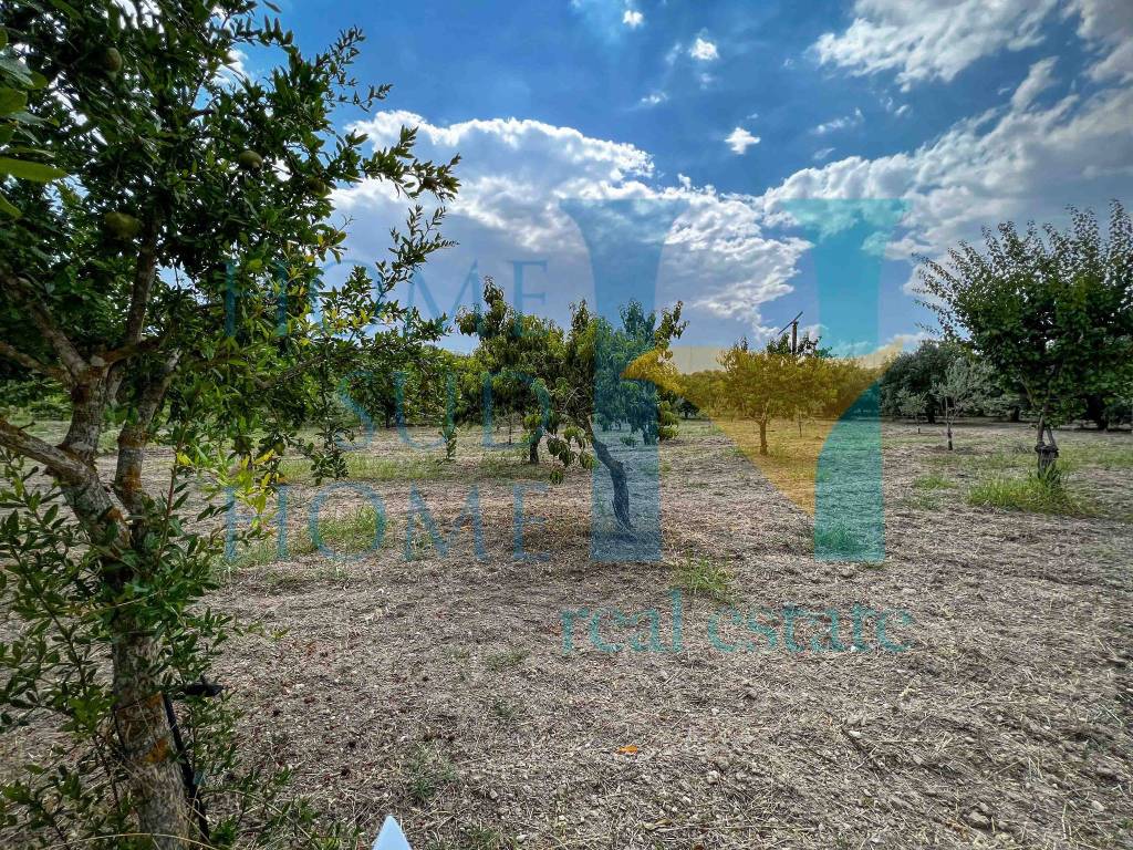 Terreno a Noto in Via Tommaso Fazello, 228 - Foto 2