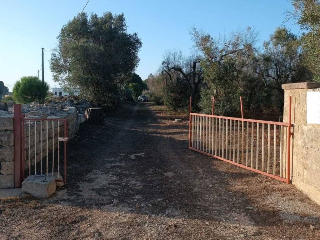 Terreno a Alessano in Strada Comunale Presicce Alessano - Foto 2