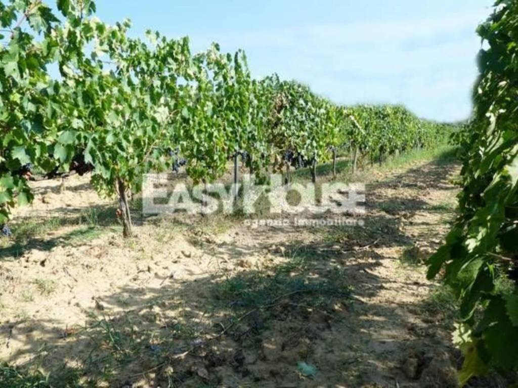 Immobile a Loro ciuffenna - Foto 2