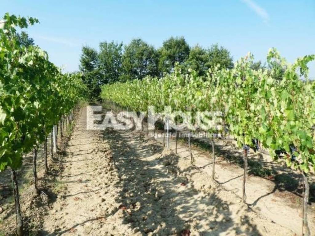 Immobile a Loro ciuffenna - Foto 3