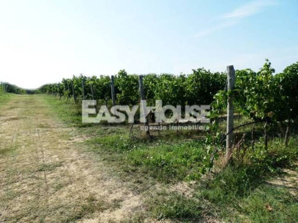 Immobile a Loro ciuffenna - Foto 4