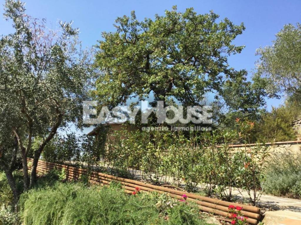 Rustico / casale a Loro ciuffenna - Foto 4