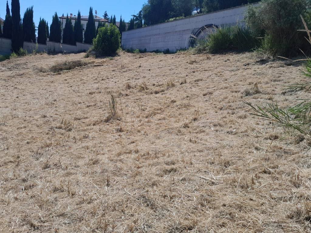 Terreno a Pescara in Strada del Palazzo - Foto 2