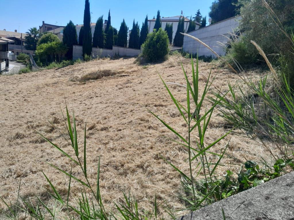Terreno a Pescara in Strada del Palazzo - Foto 4