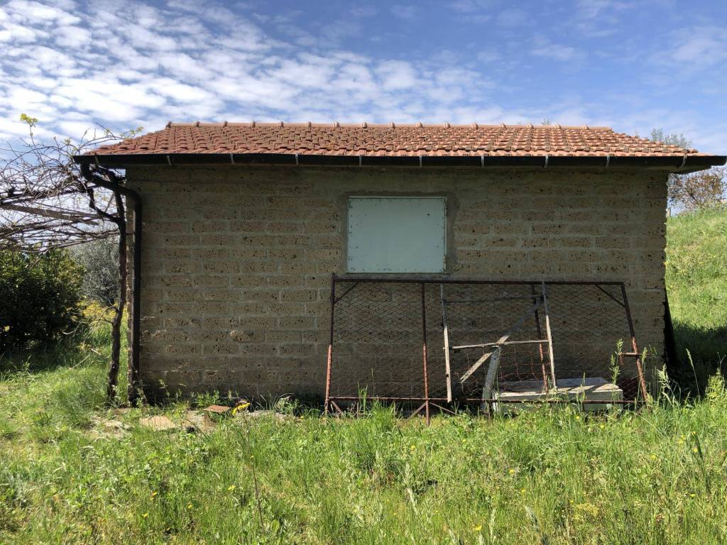 Rustico / casale a Campagnatico in Strada Vicinale di Poggio Madonna - Foto 2