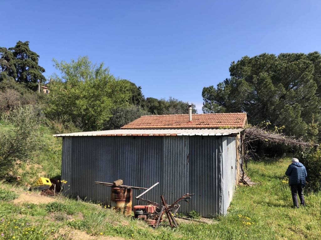 Rustico / casale a Campagnatico in Strada Vicinale di Poggio Madonna - Foto 3
