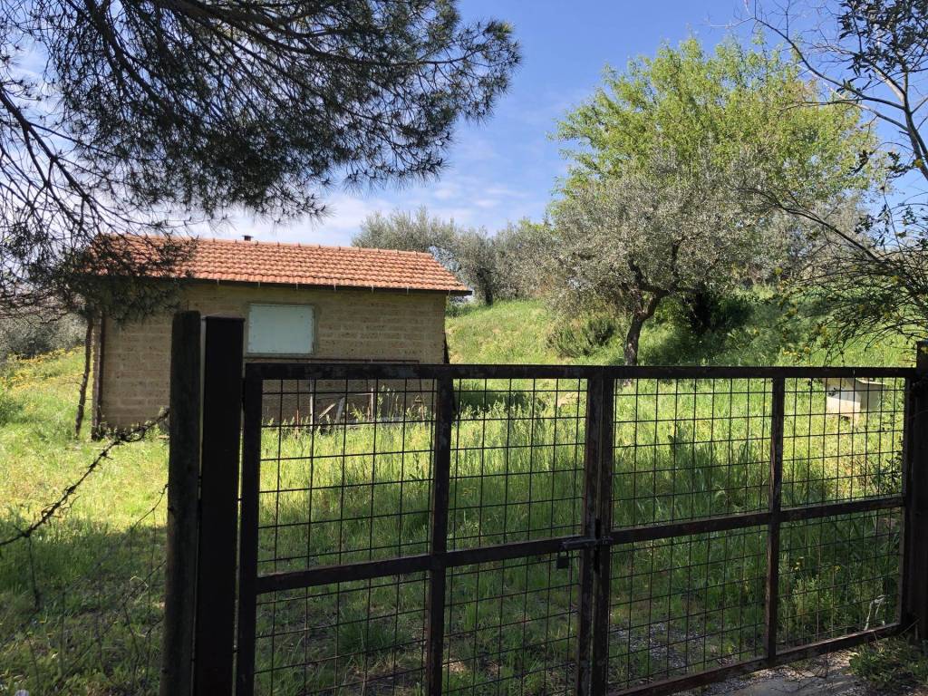 Rustico / casale a Campagnatico in Strada Vicinale di Poggio Madonna - Foto 4