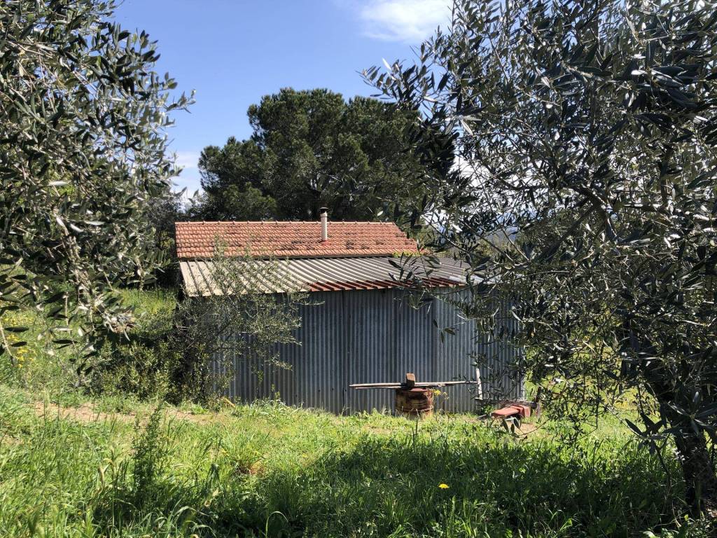 Rustico / casale a Campagnatico in Strada Vicinale di Poggio Madonna - Foto 5