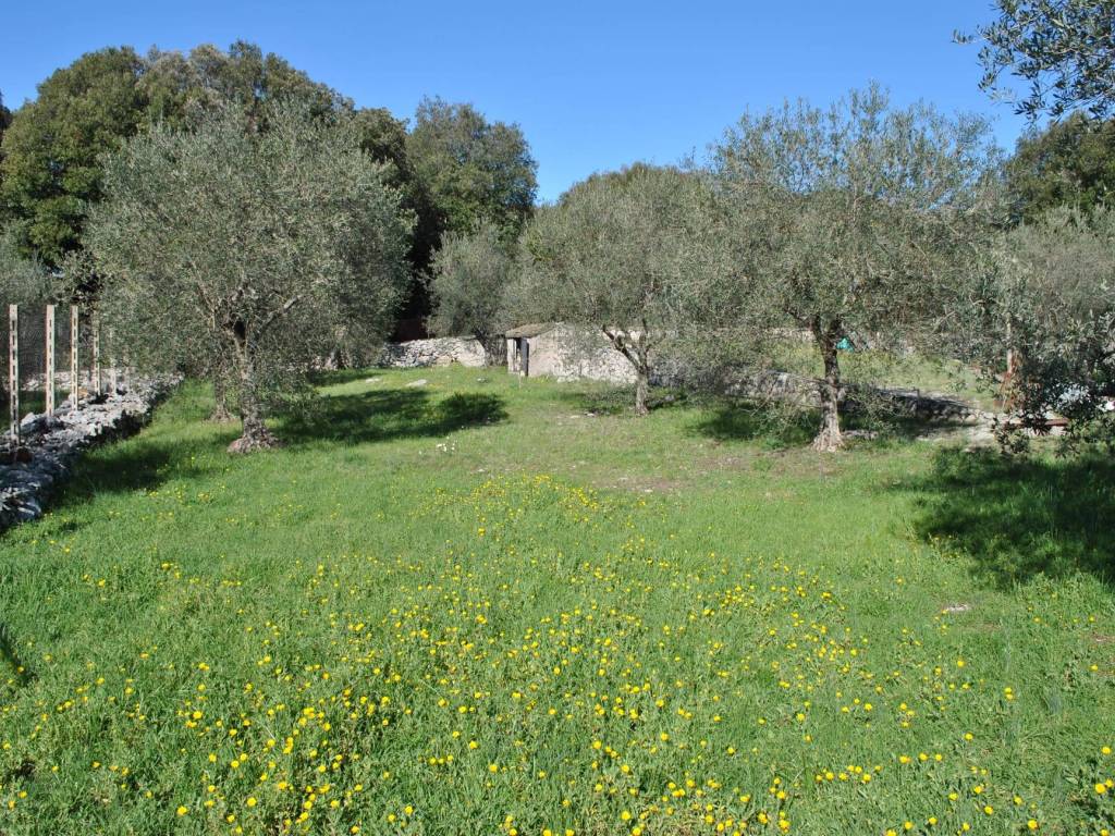 Rustico / casale a Terracina in Strada Campo Soriano - Foto 3