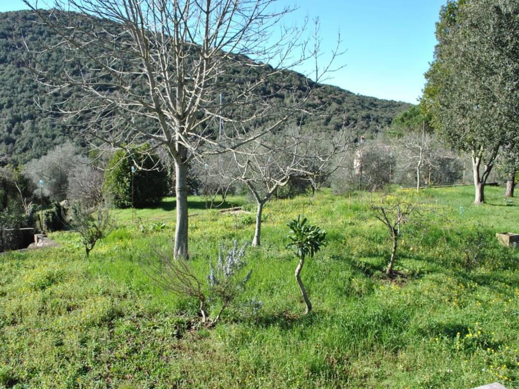 Rustico / casale a Terracina in Strada Campo Soriano - Foto 4