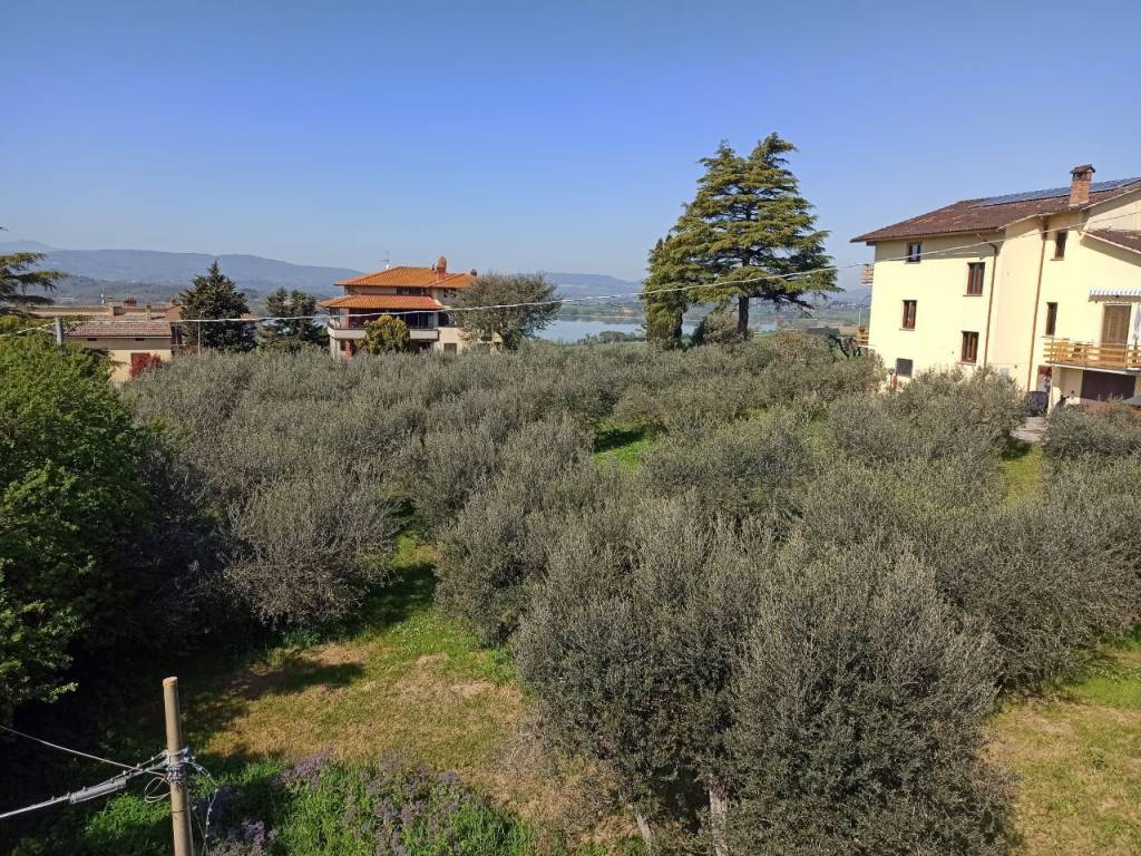 Appartamento a Castiglione del lago in Località Cimbano - Foto 3